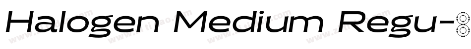 Halogen Medium Regu字体转换